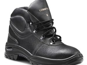 Lemaitre 8095